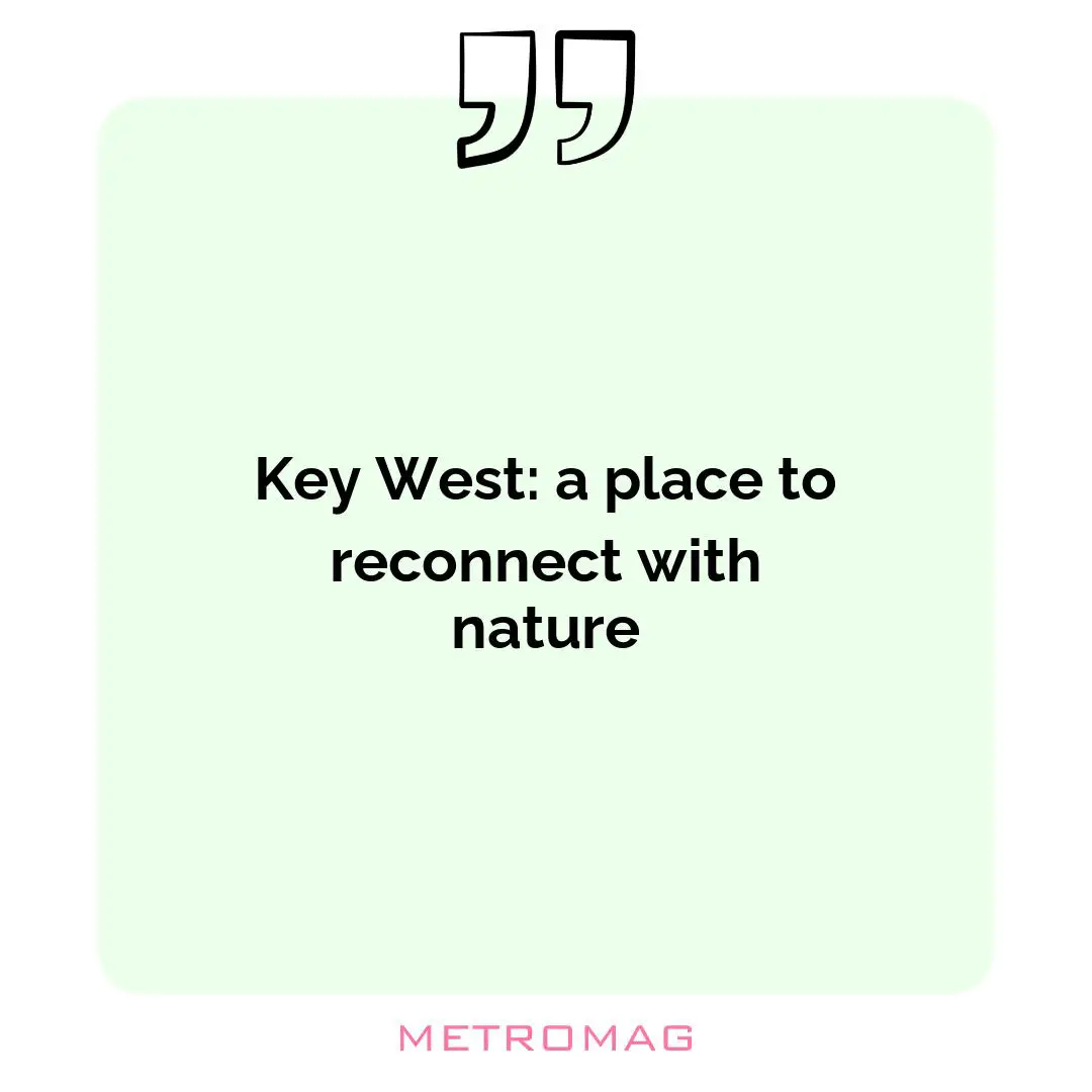 Key West: a place to reconnect with nature