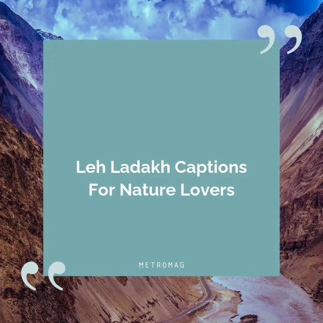 Leh Ladakh Captions For Nature Lovers