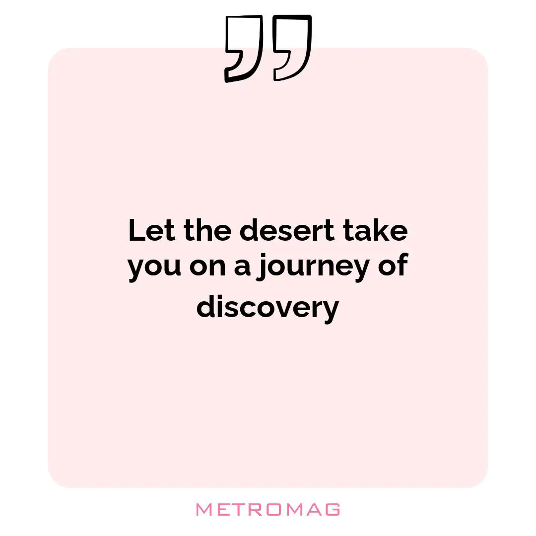 Let the desert take you on a journey of discovery