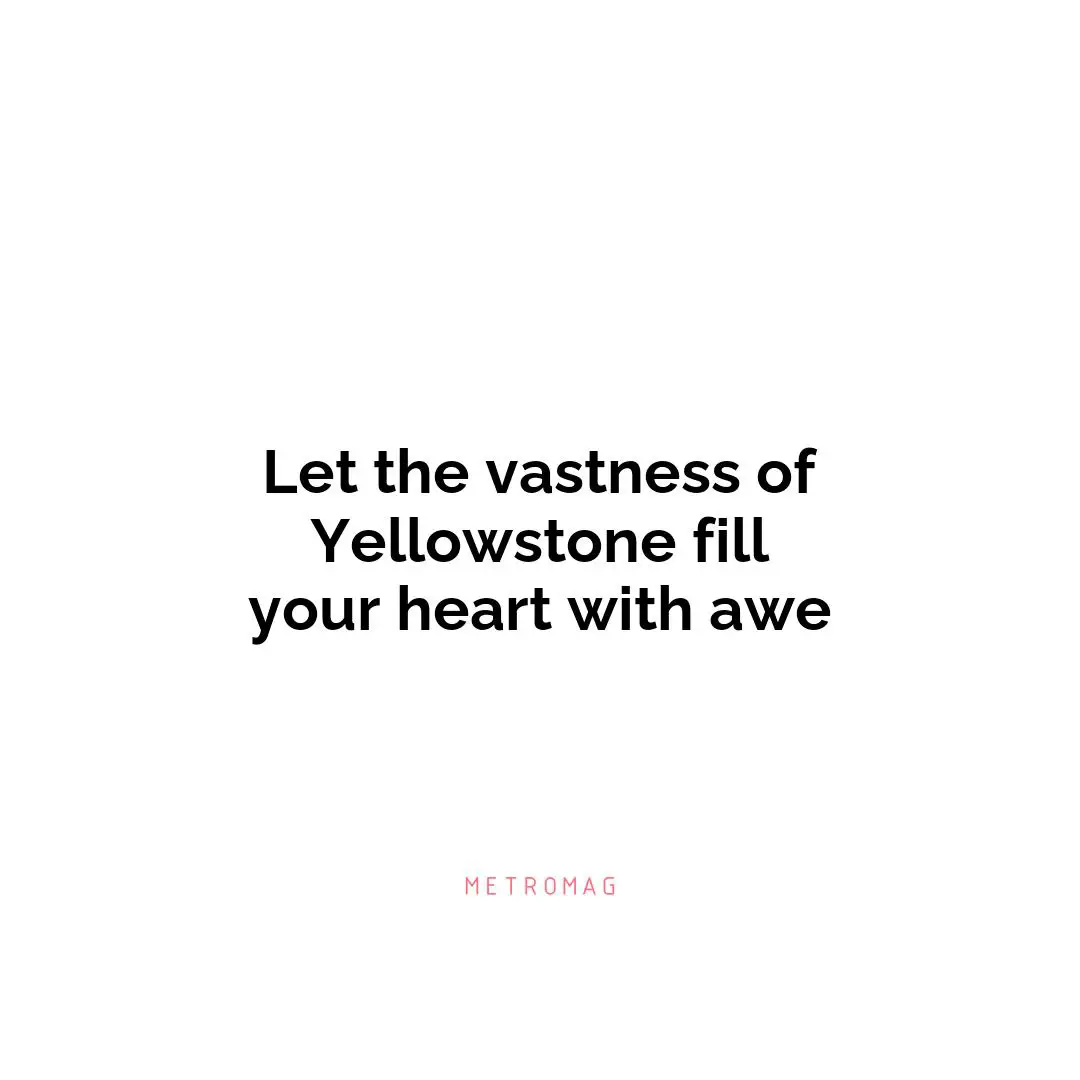Let the vastness of Yellowstone fill your heart with awe