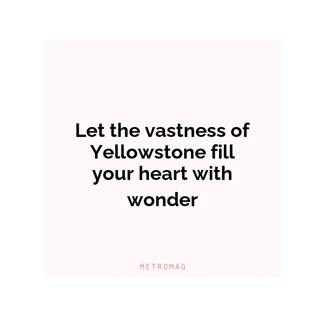 Let the vastness of Yellowstone fill your heart with wonder