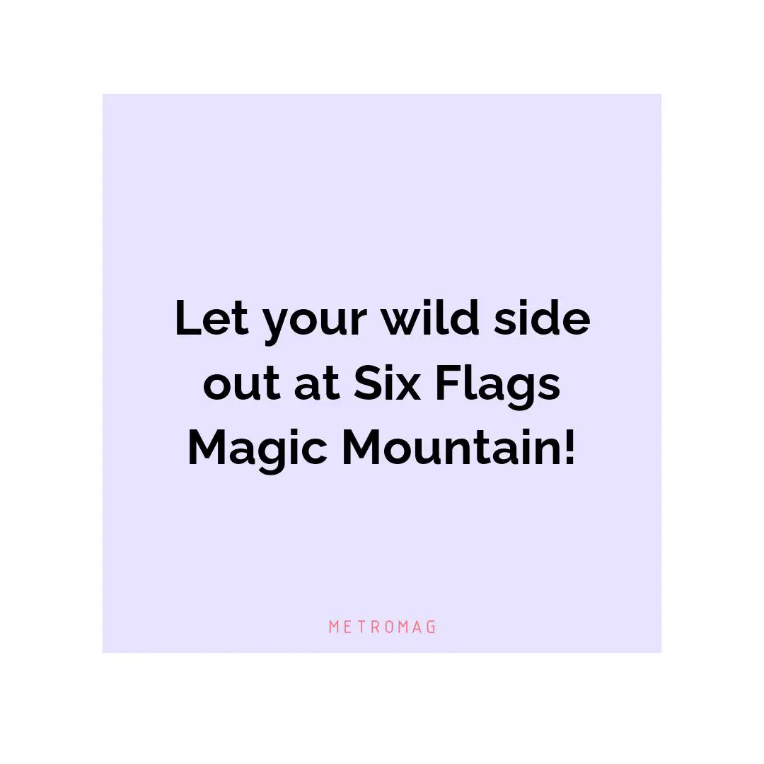 Let your wild side out at Six Flags Magic Mountain!
