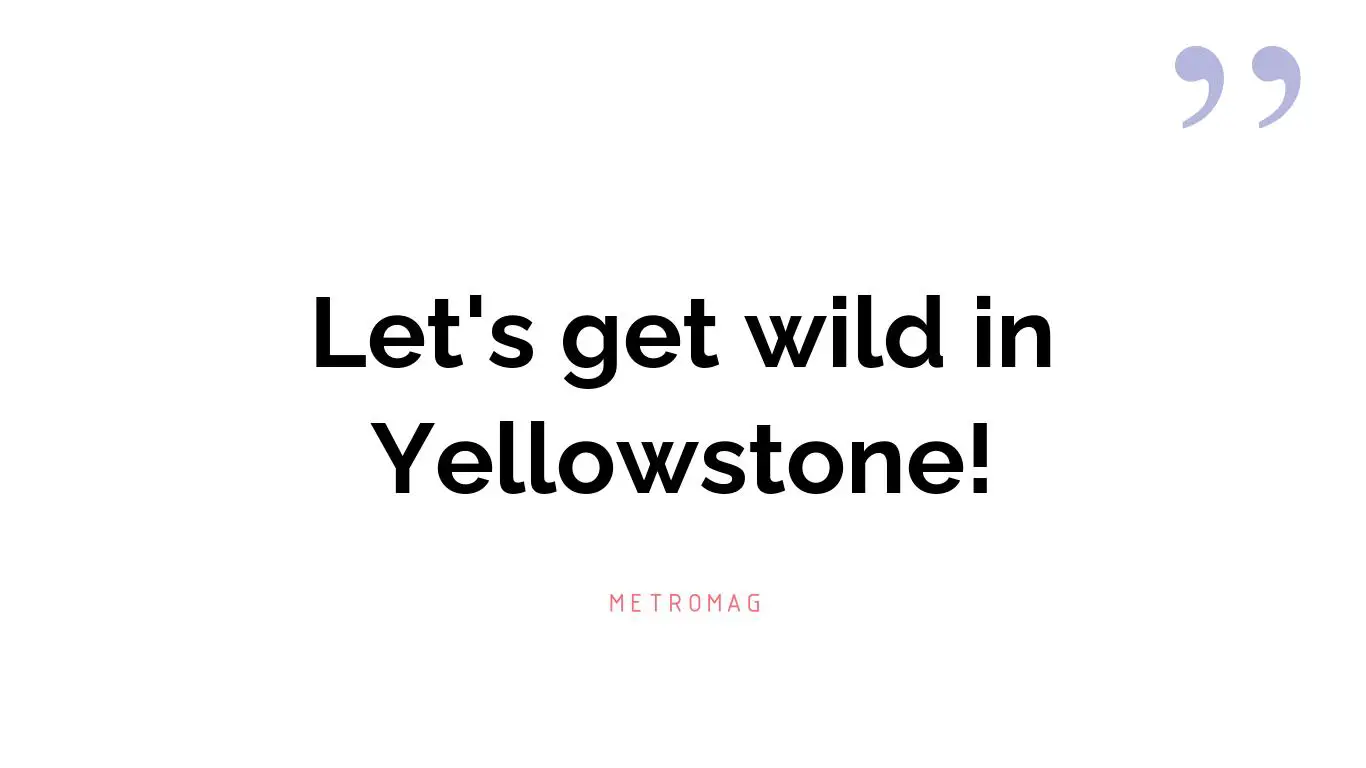 Let's get wild in Yellowstone!