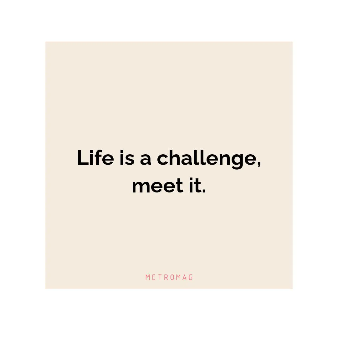 Life is a challenge, meet it.