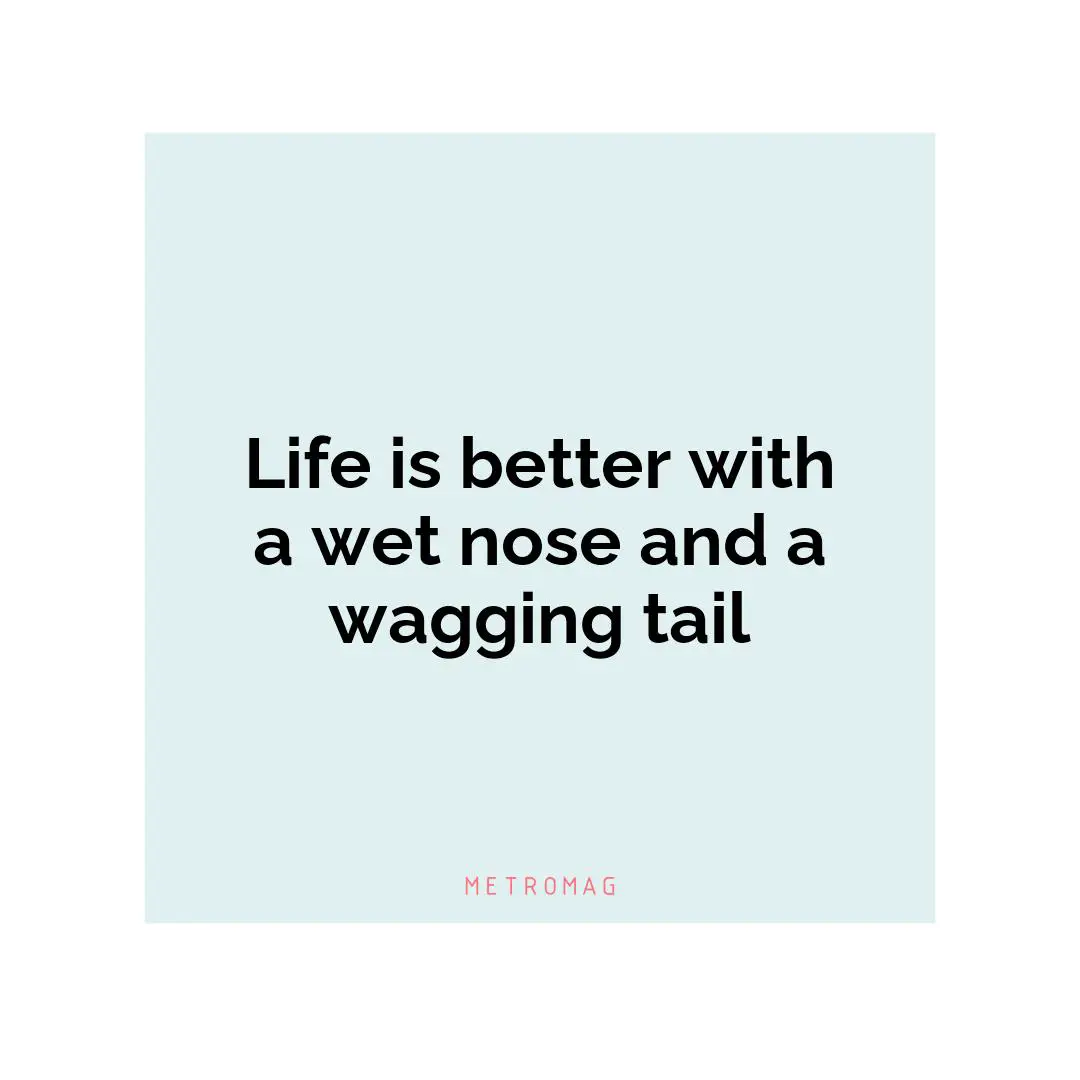 Life is better with a wet nose and a wagging tail