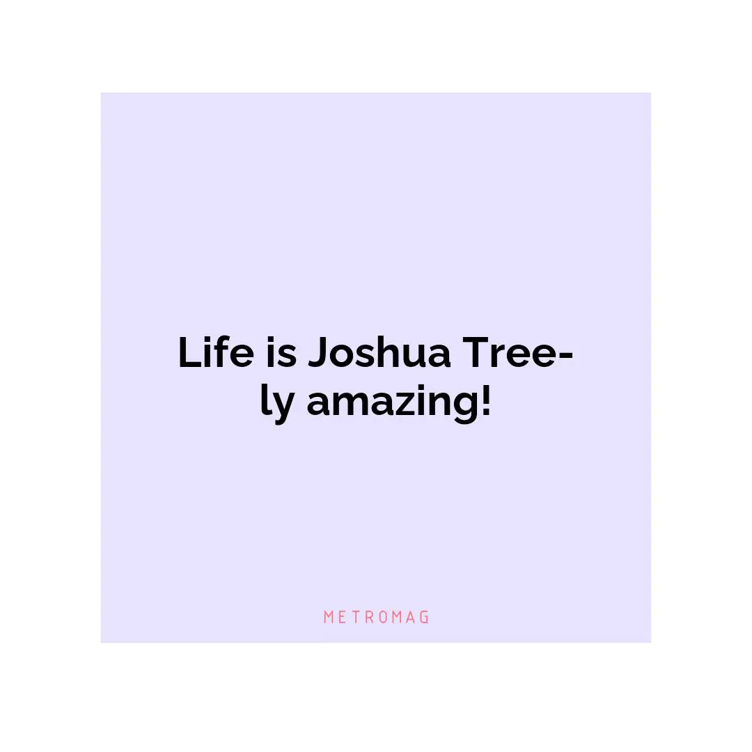 Life is Joshua Tree-ly amazing!