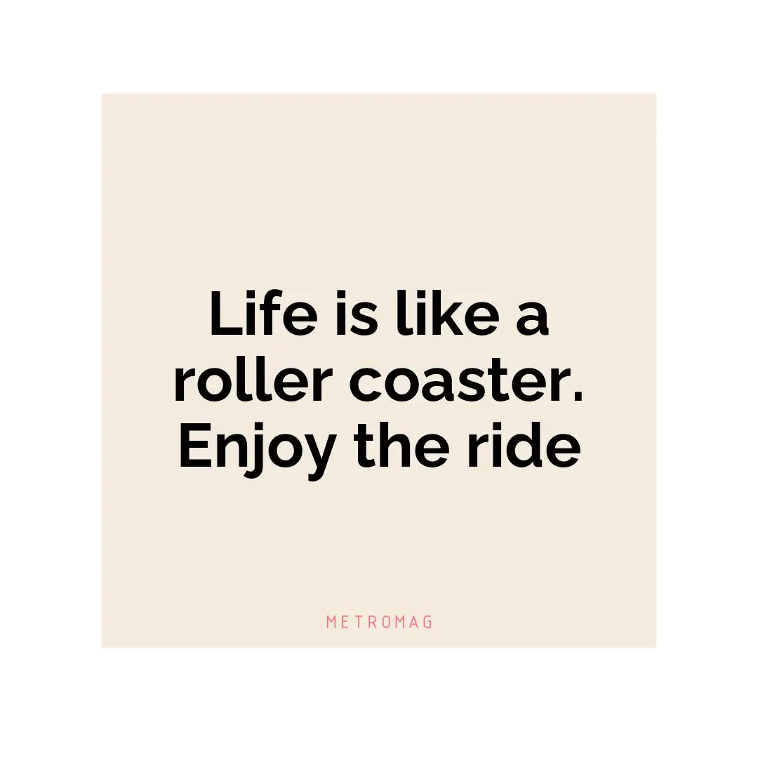 Life is like a roller coaster. Enjoy the ride