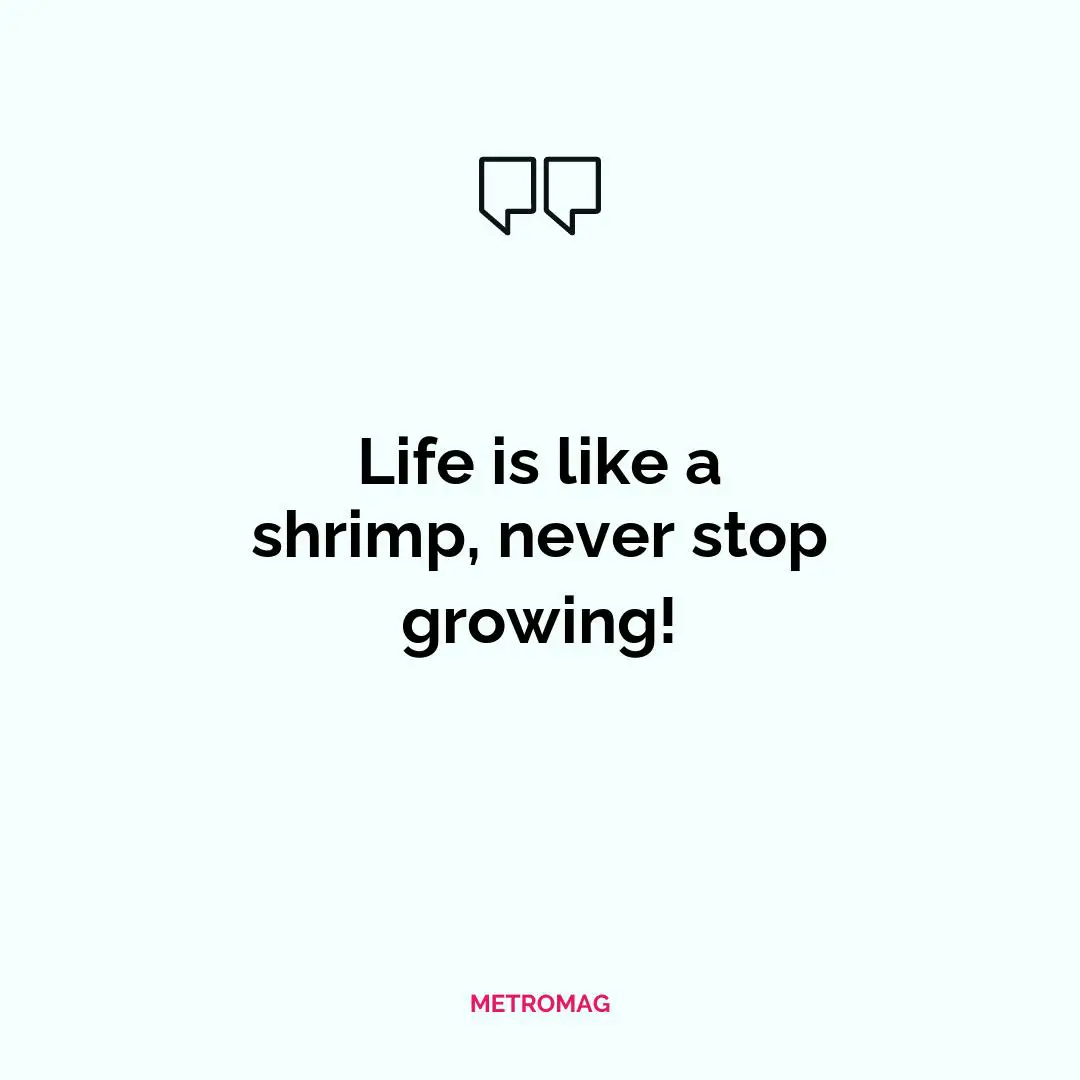Life is like a shrimp, never stop growing!