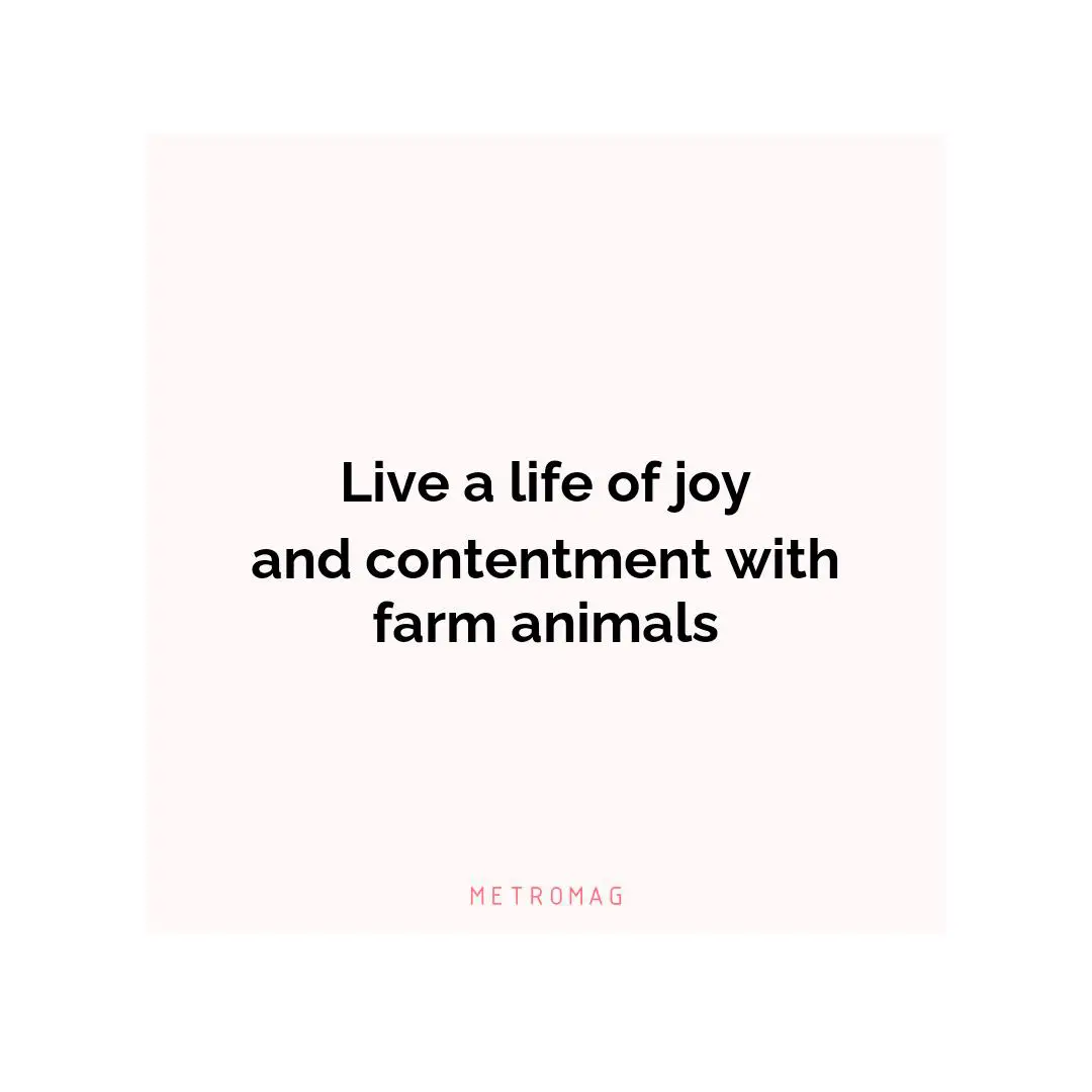 Live a life of joy and contentment with farm animals