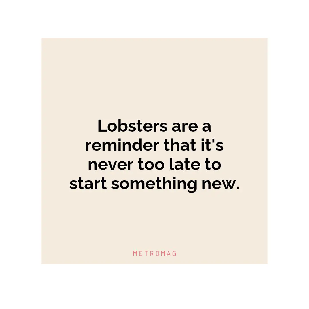 Lobsters are a reminder that it's never too late to start something new.