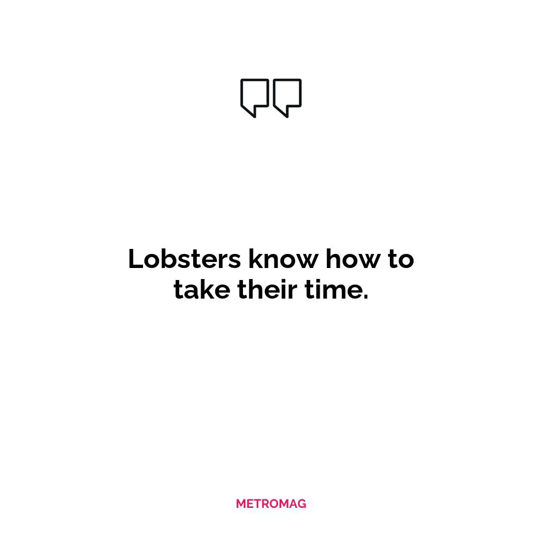 Lobsters know how to take their time.