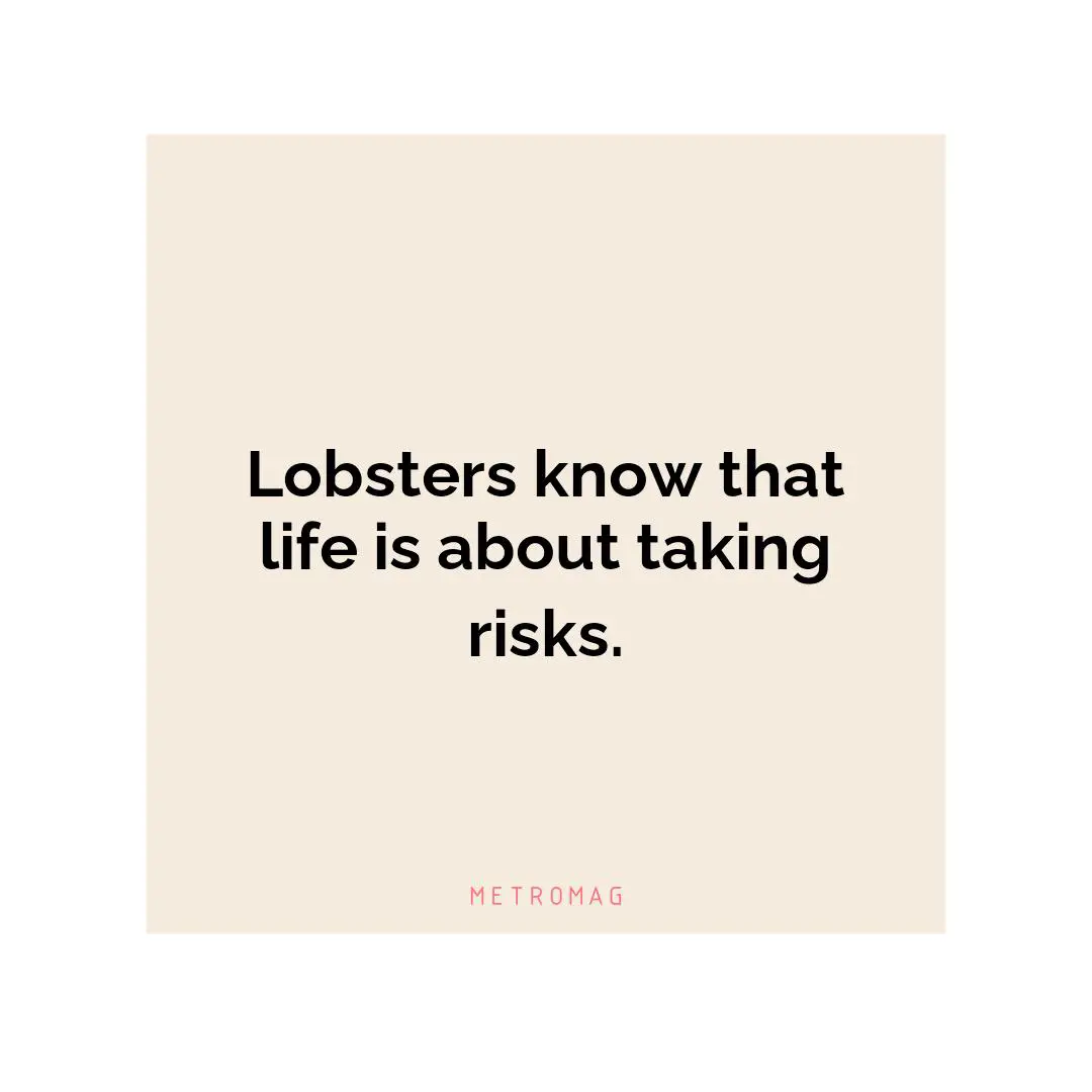 Lobsters know that life is about taking risks.