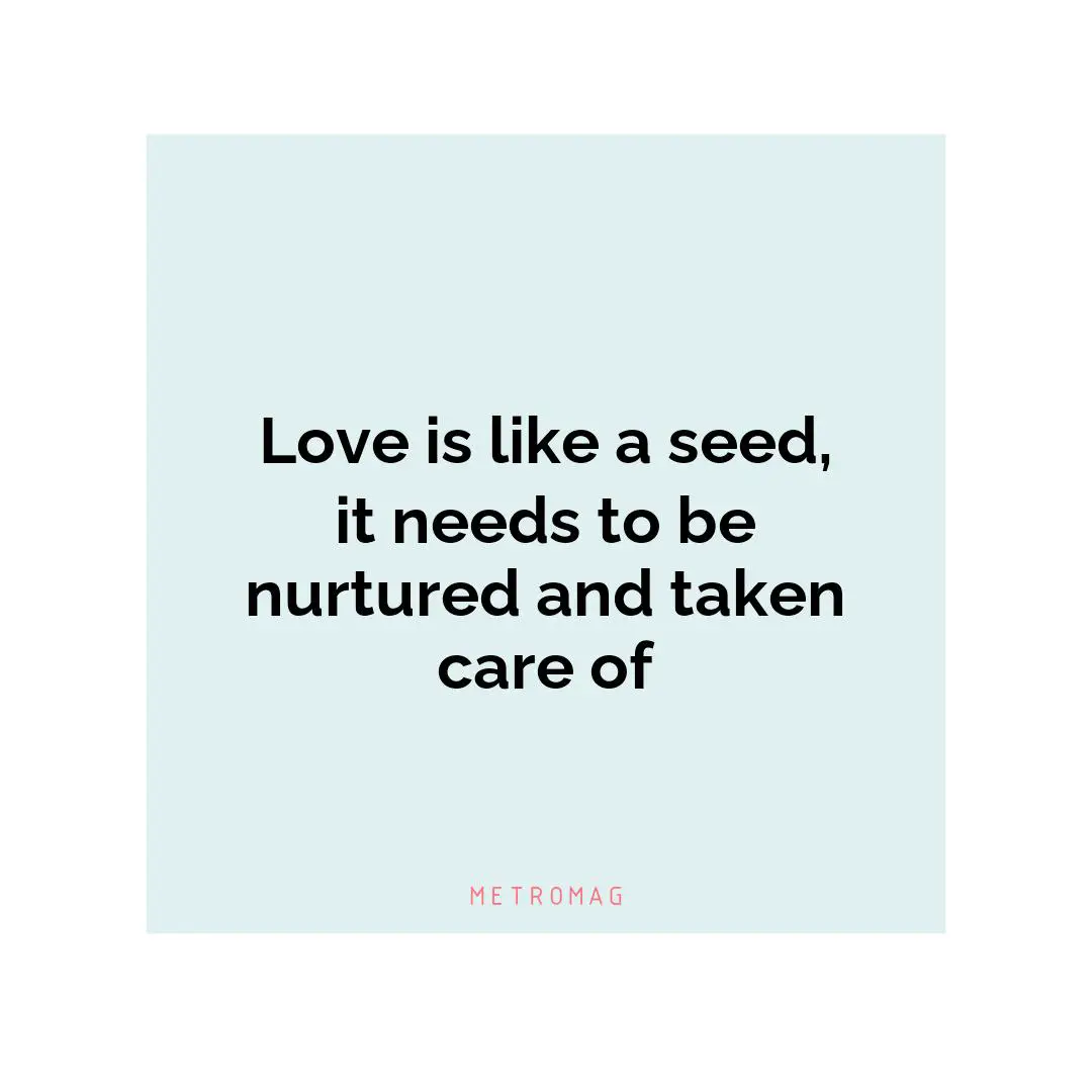 Love is like a seed, it needs to be nurtured and taken care of
