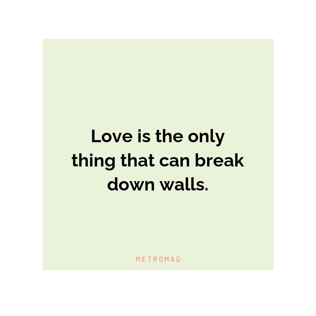 Love is the only thing that can break down walls.