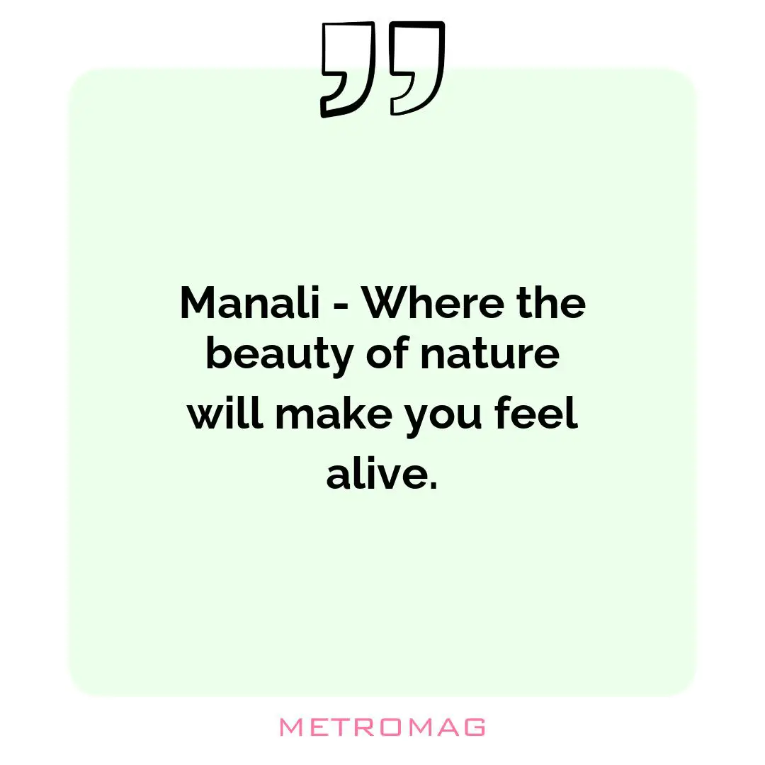 Manali - Where the beauty of nature will make you feel alive.