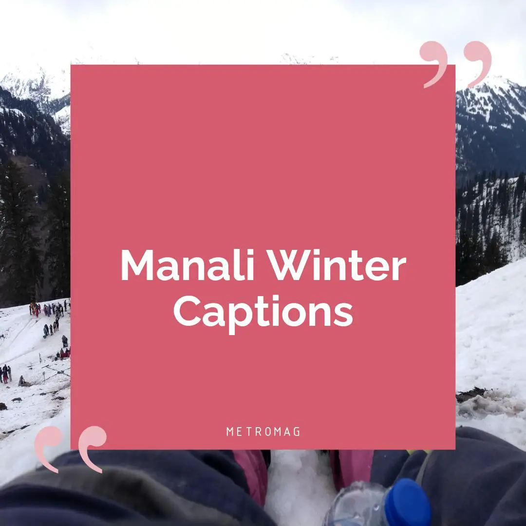 Manali Winter Captions