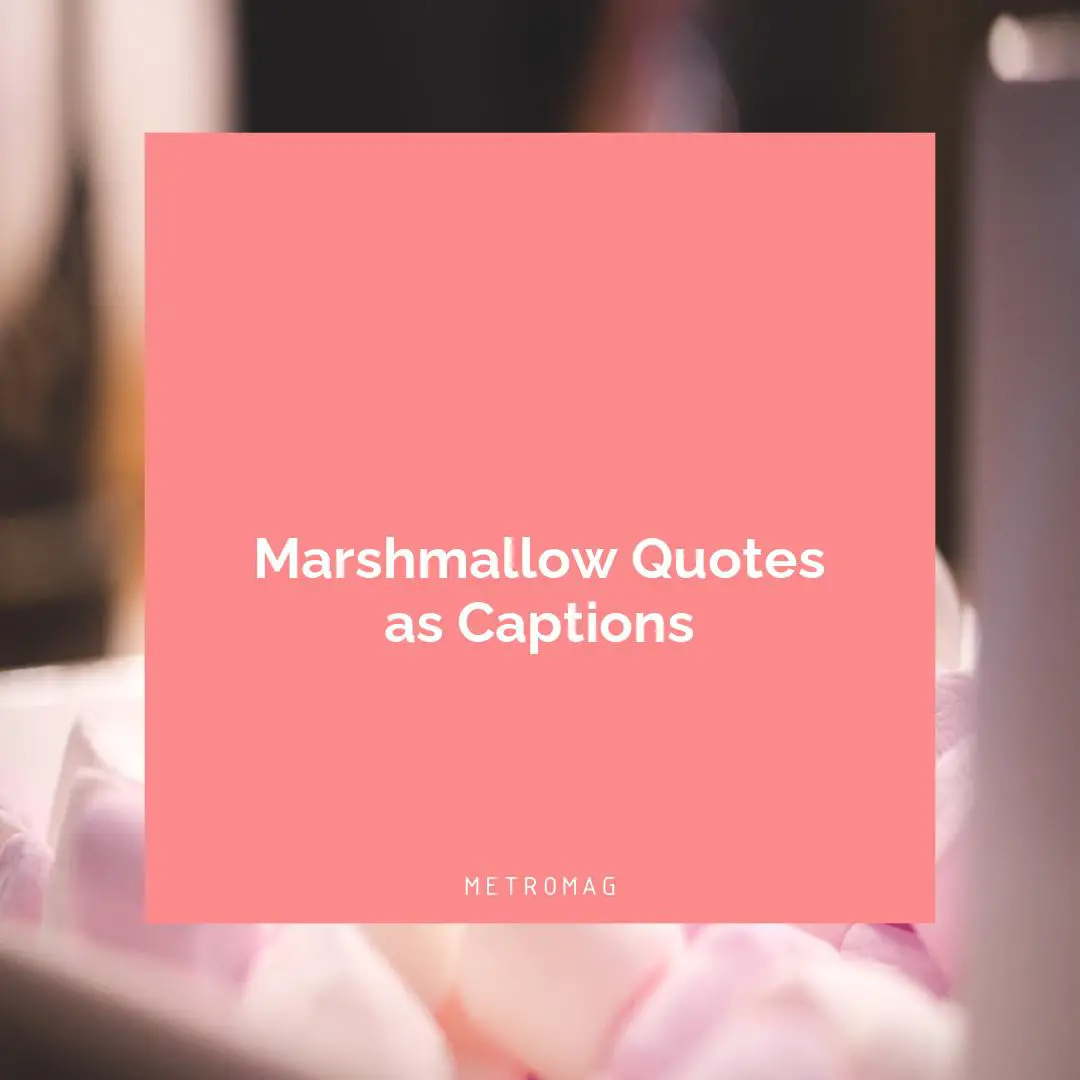 Marshmallow Quotes as Captions