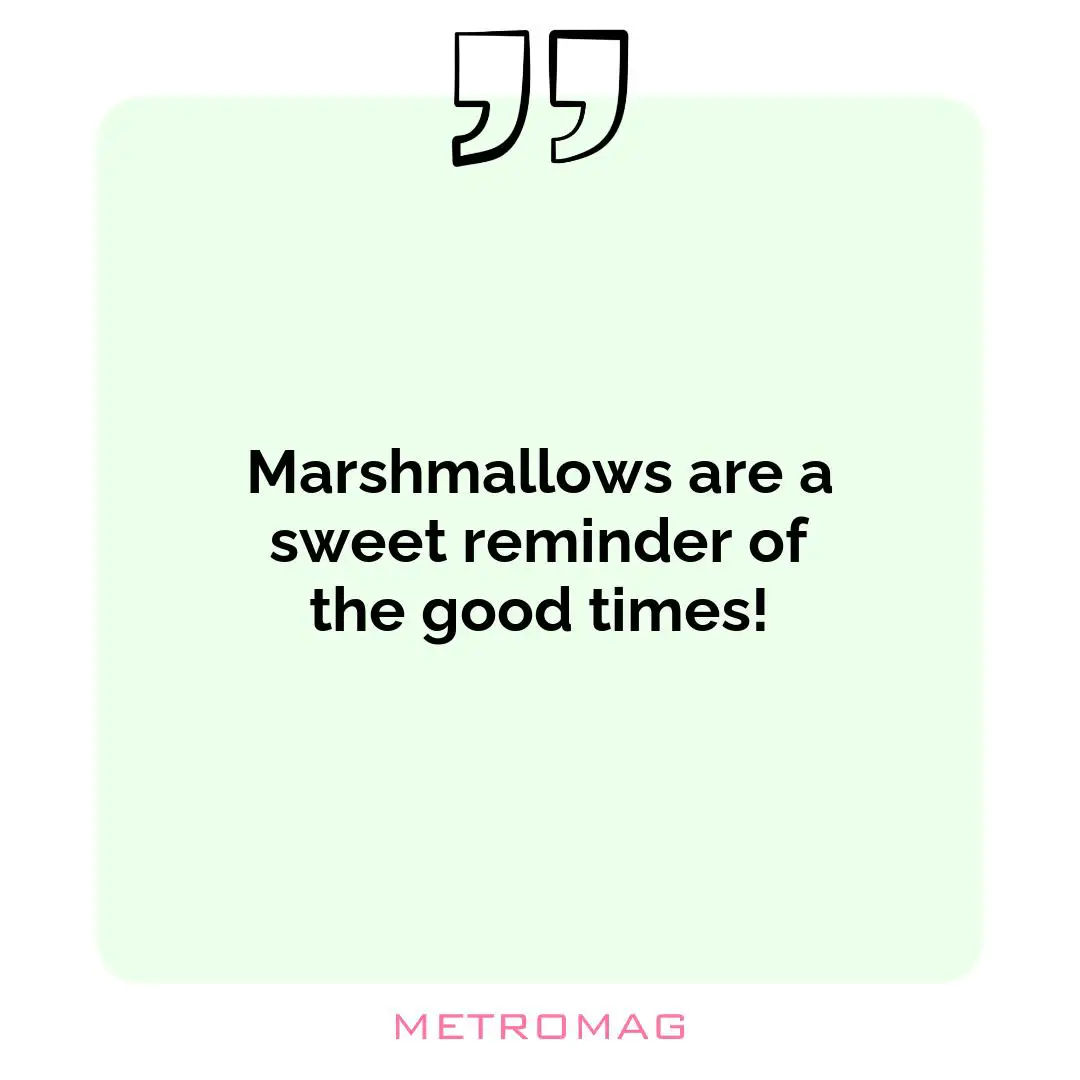 Marshmallows are a sweet reminder of the good times!