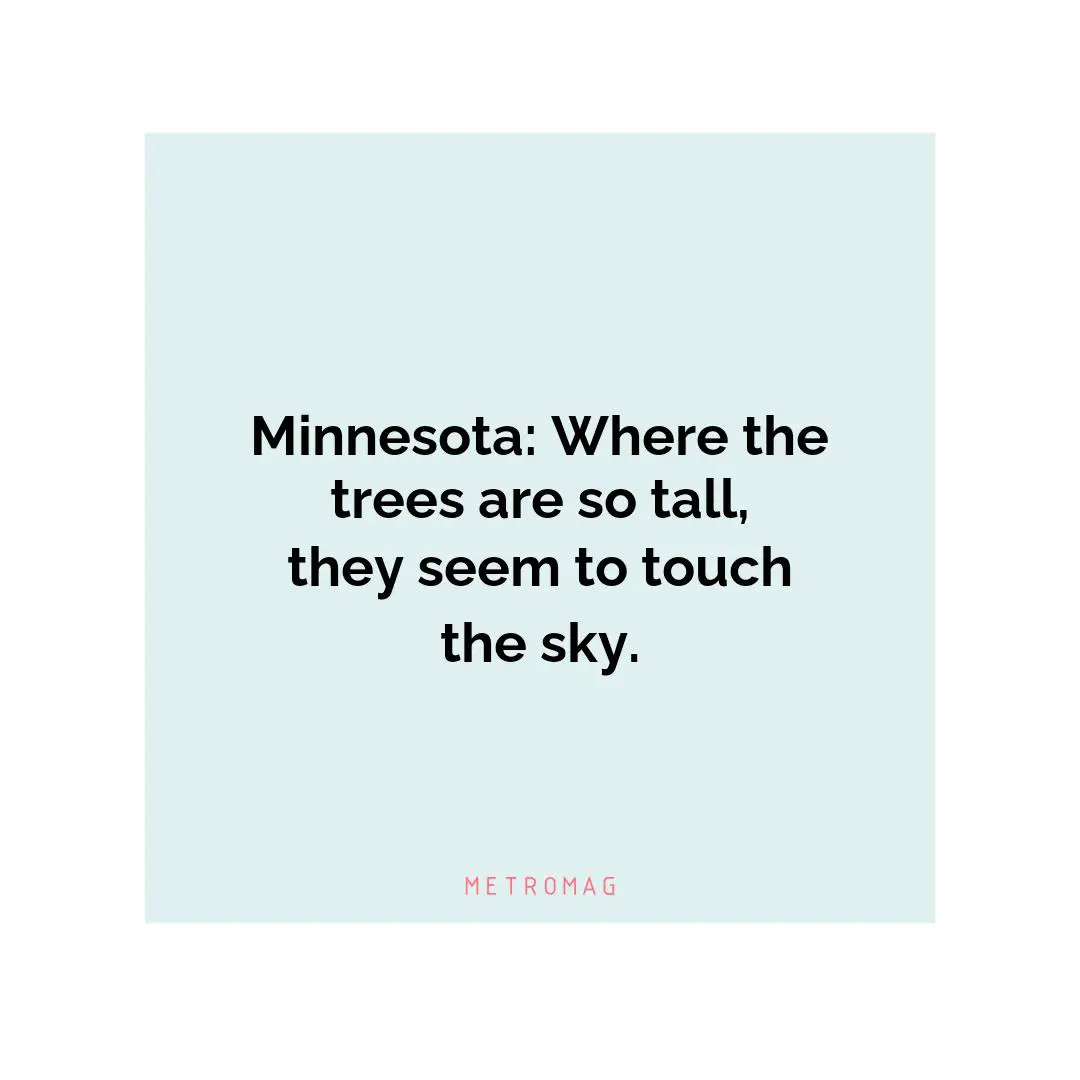 Minnesota: Where the trees are so tall, they seem to touch the sky.