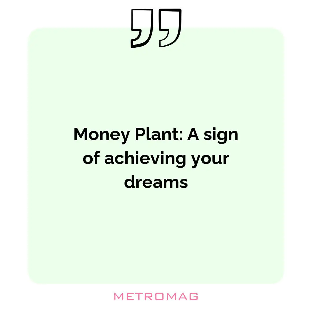Money Plant: A sign of achieving your dreams