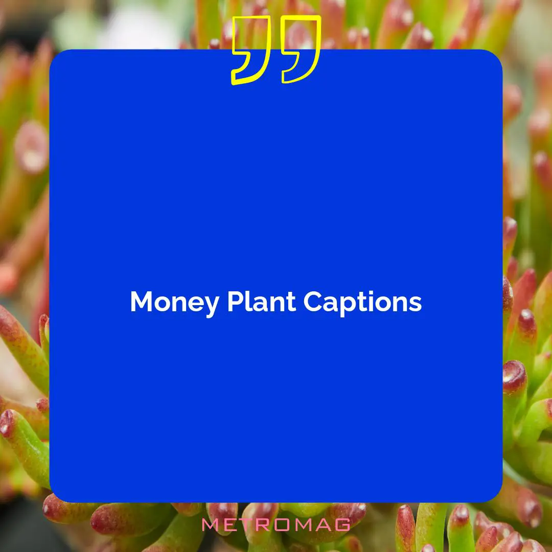 Money Plant Captions