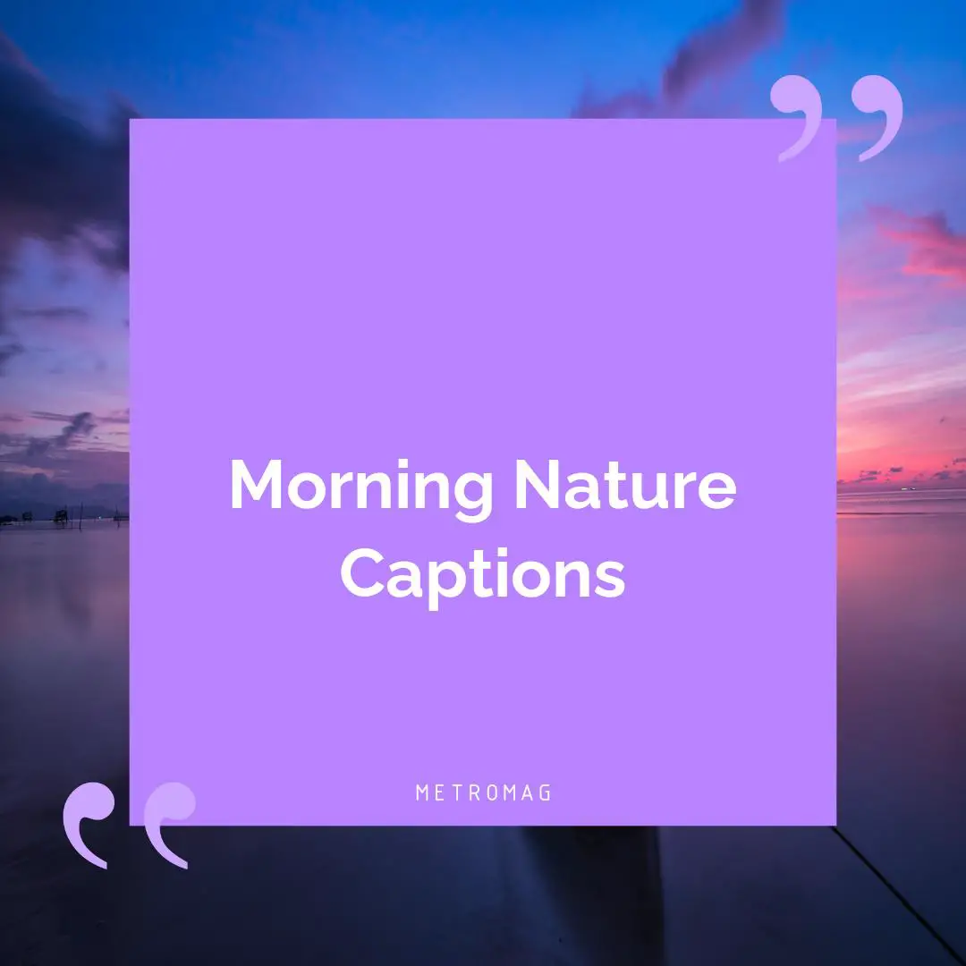Morning Nature Captions