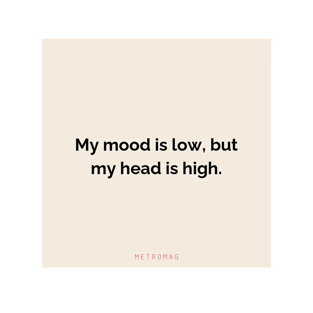 My mood is low, but my head is high.