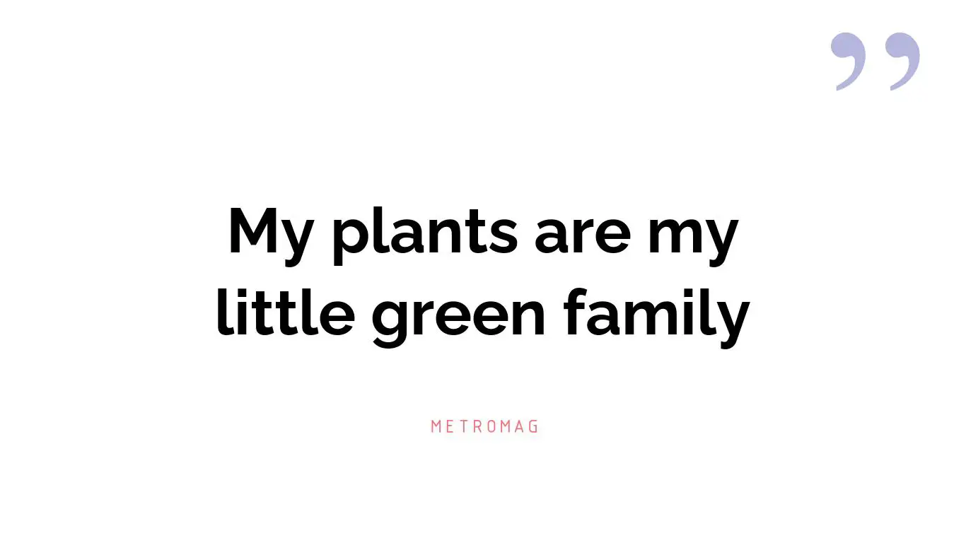 My plants are my little green family