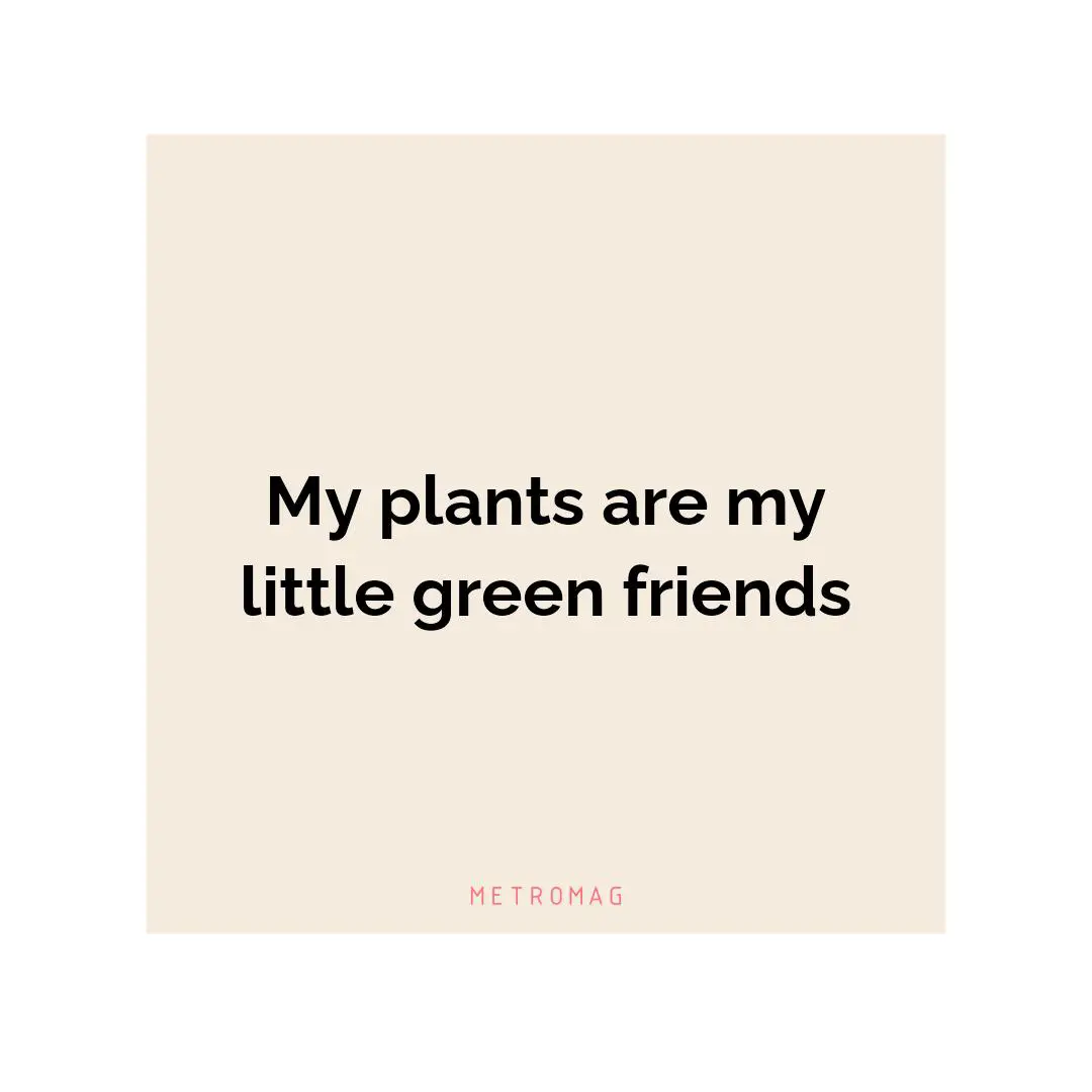 My plants are my little green friends