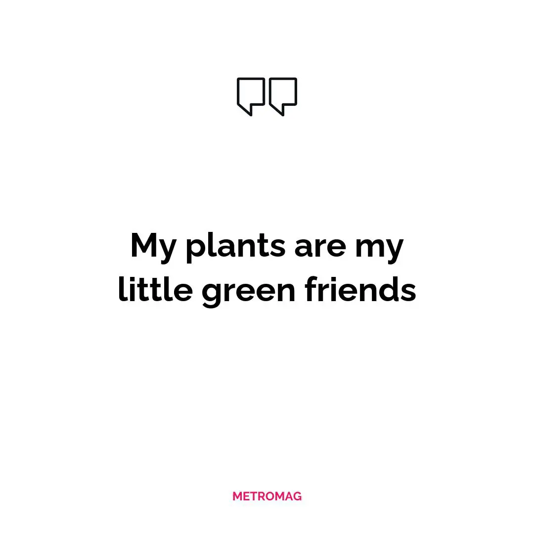My plants are my little green friends