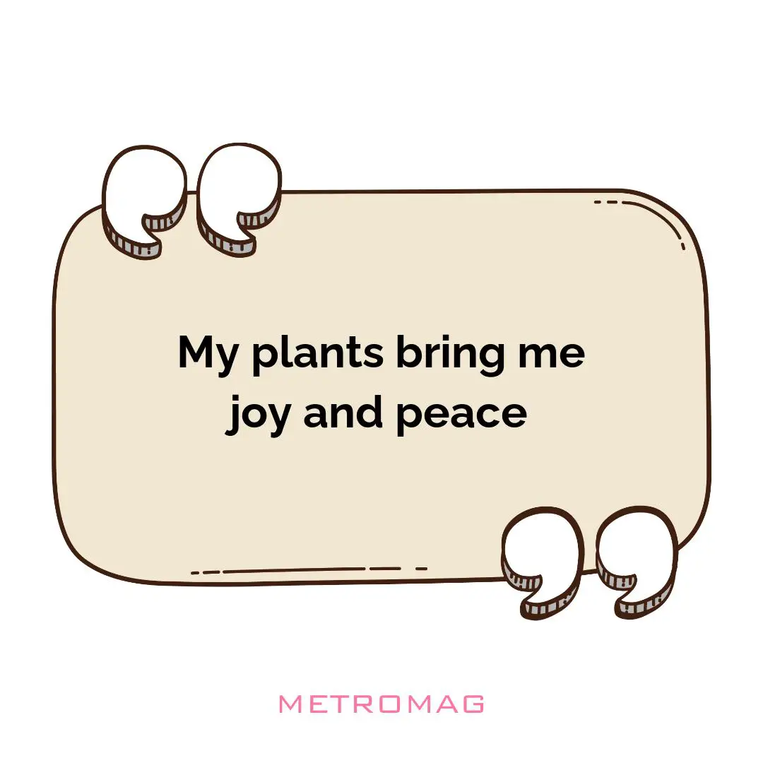 My plants bring me joy and peace