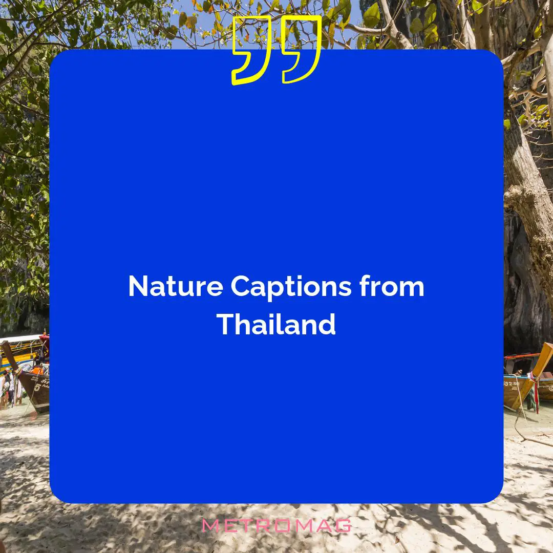 Nature Captions from Thailand