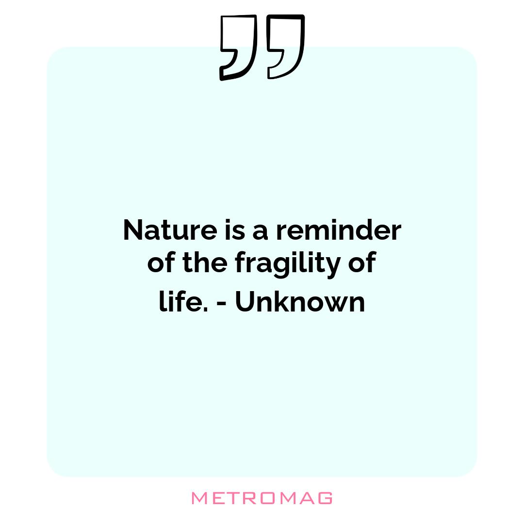 Nature is a reminder of the fragility of life. - Unknown