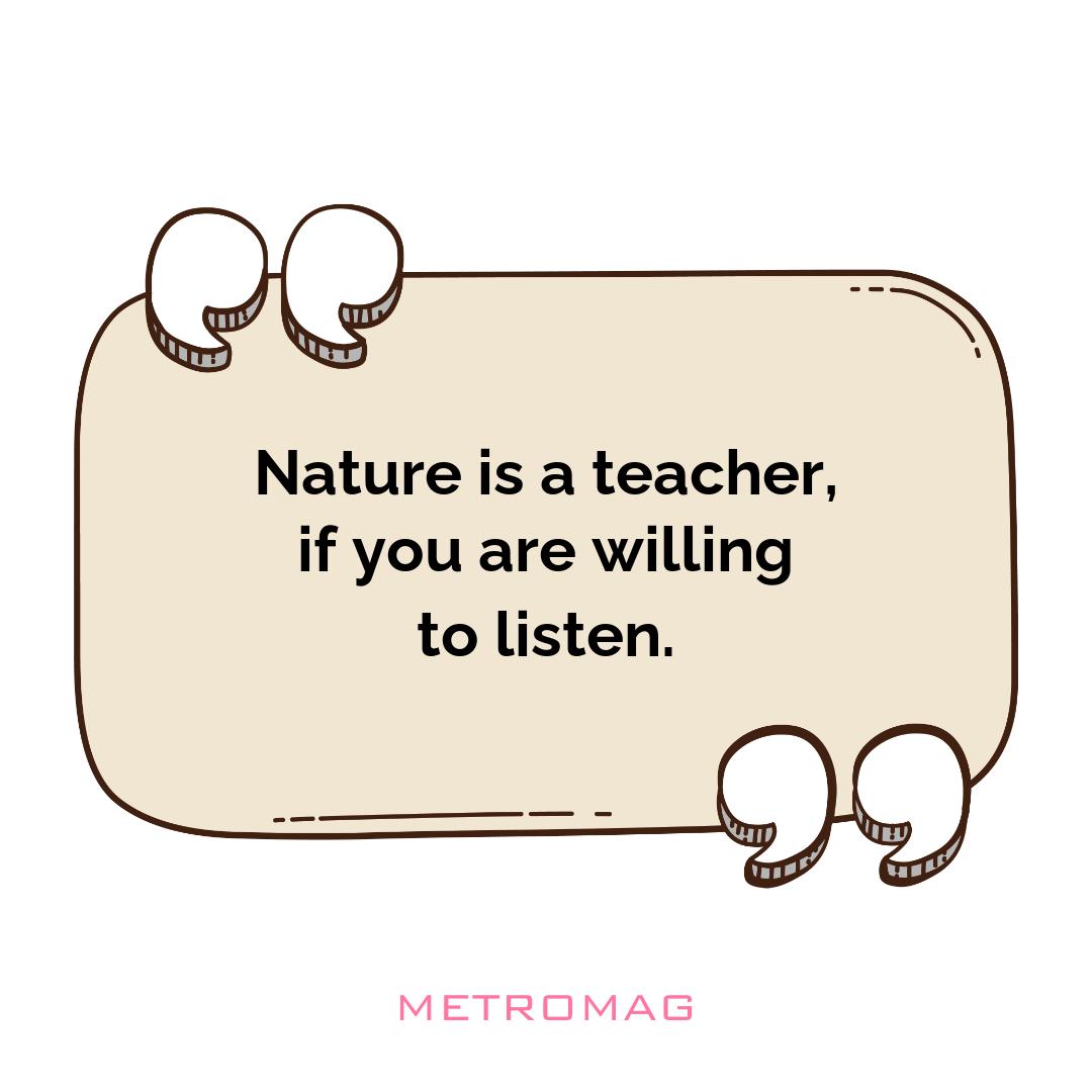 Nature is a teacher, if you are willing to listen.