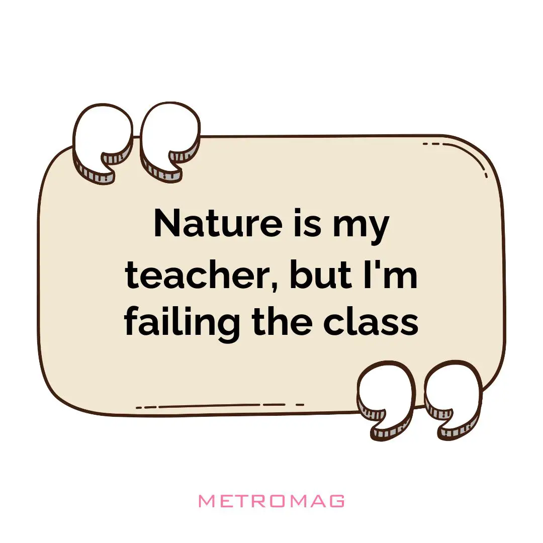 Nature is my teacher, but I'm failing the class