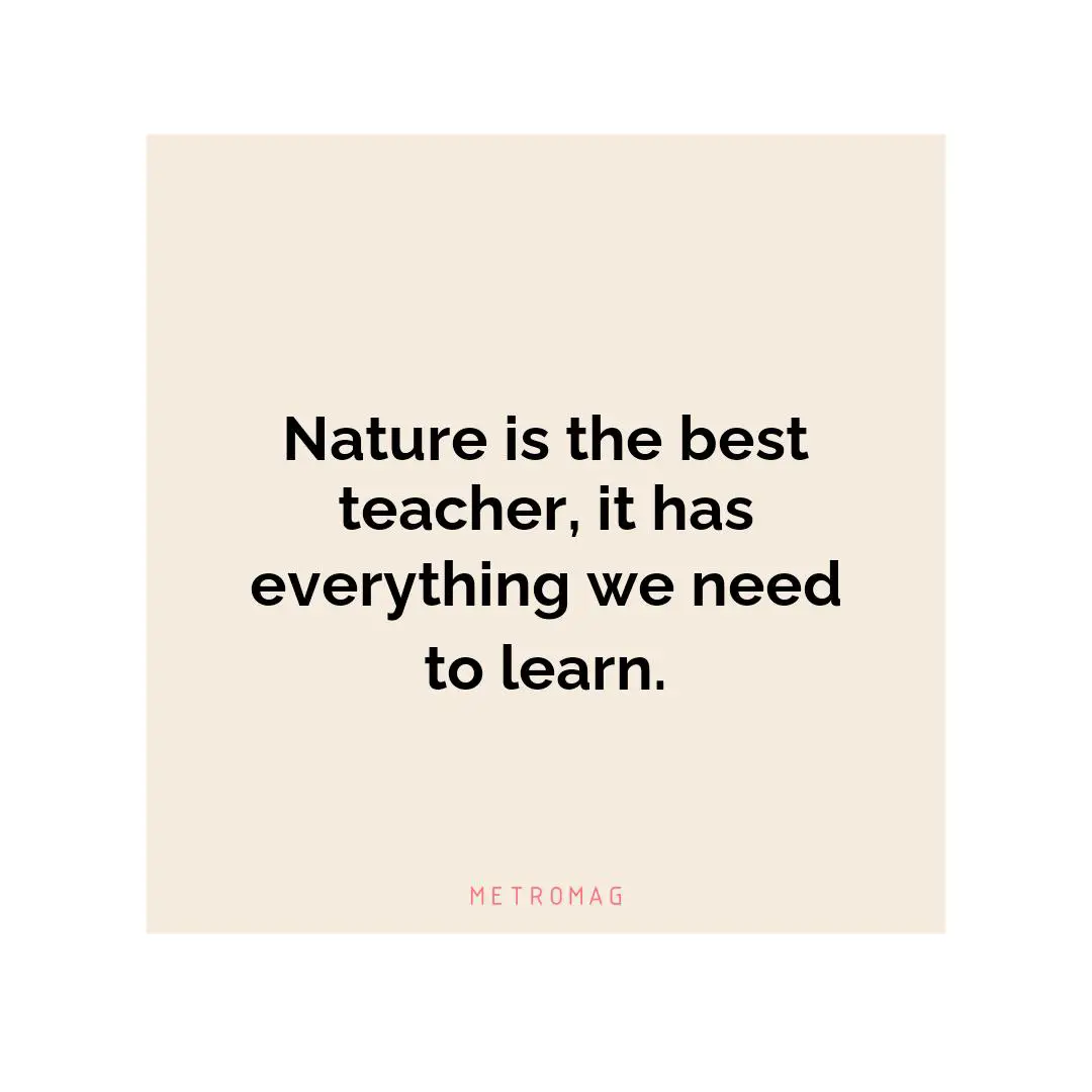 Nature is the best teacher, it has everything we need to learn.