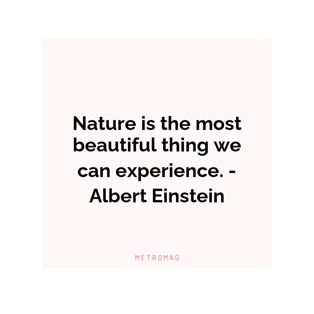 Nature is the most beautiful thing we can experience. - Albert Einstein