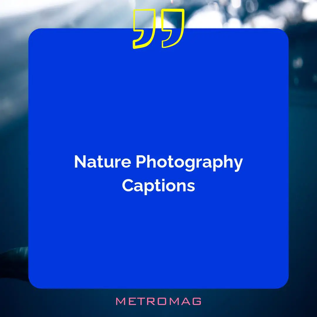 Nature Photography Captions