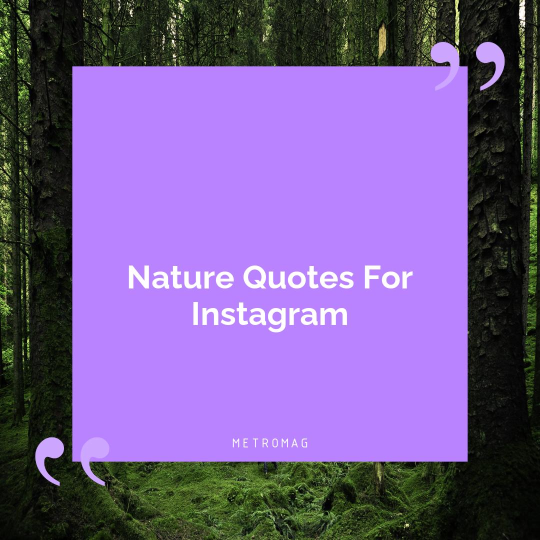 Nature Quotes For Instagram