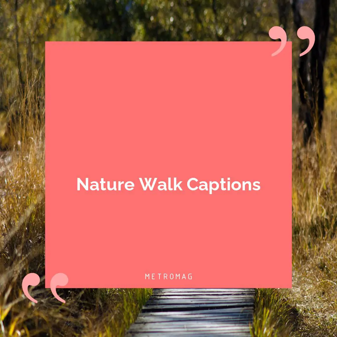 Nature Walk Captions