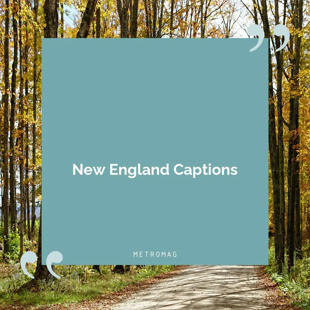 New England Captions