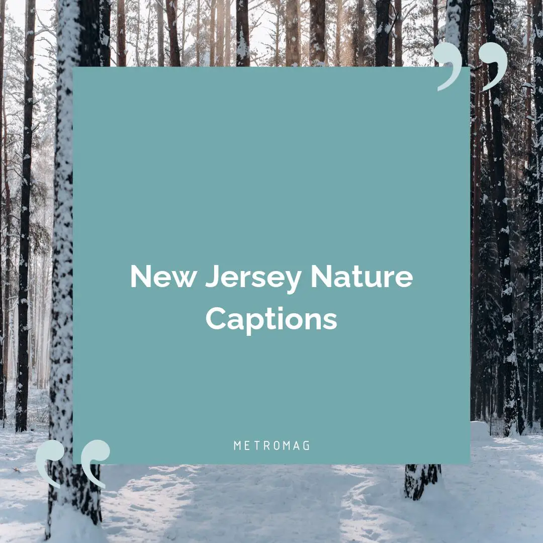 New Jersey Nature Captions