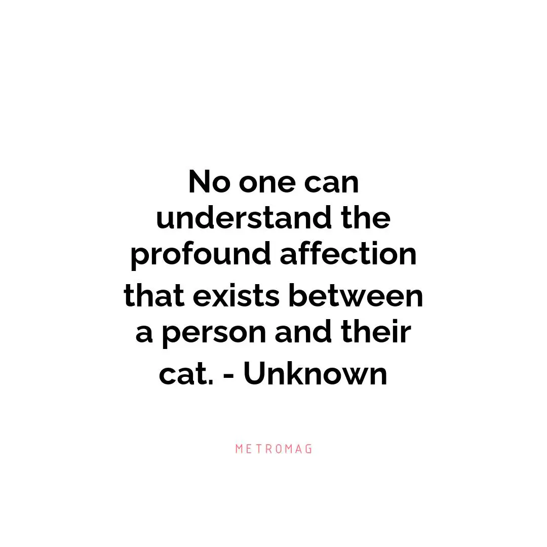 No one can understand the profound affection that exists between a person and their cat. - Unknown