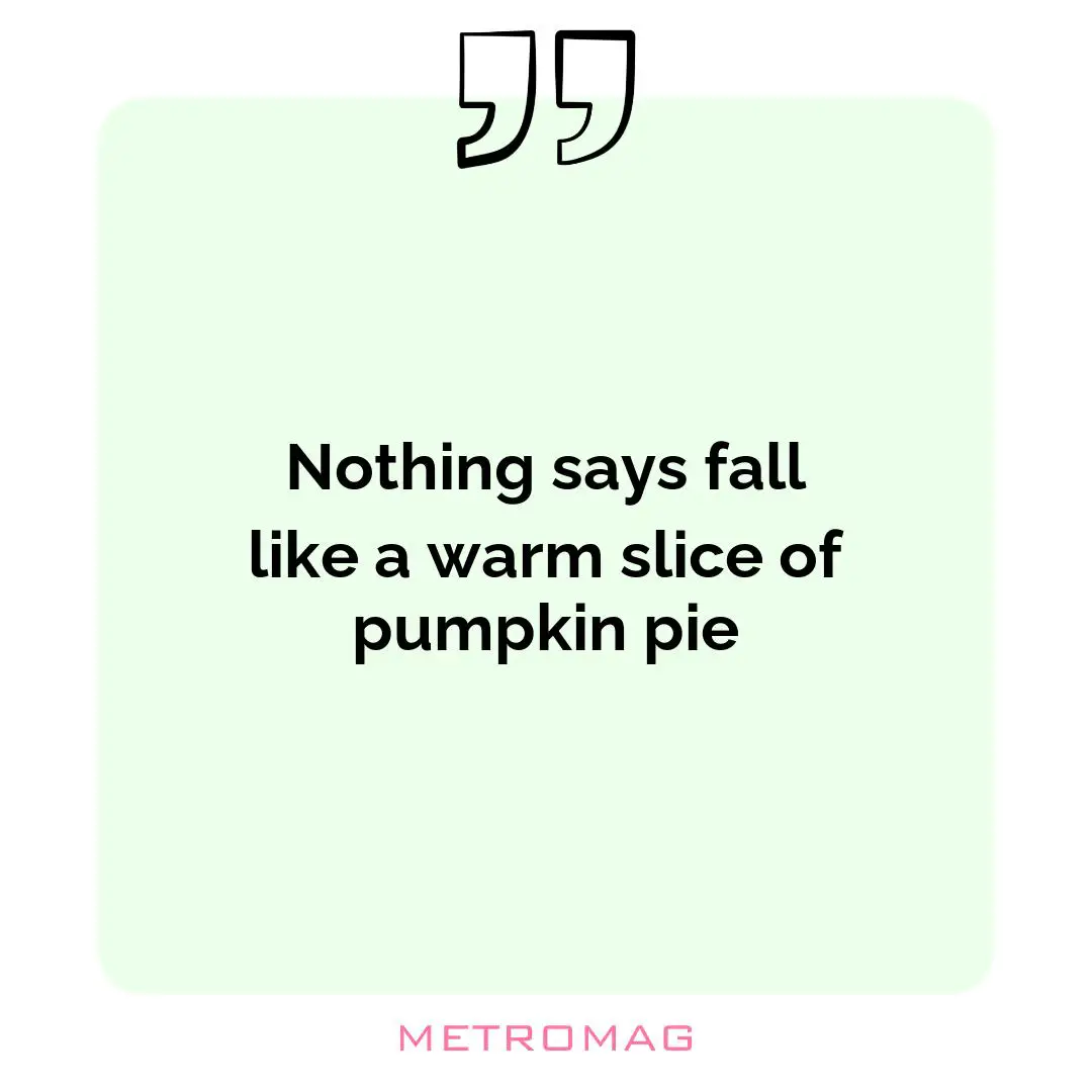 Nothing says fall like a warm slice of pumpkin pie