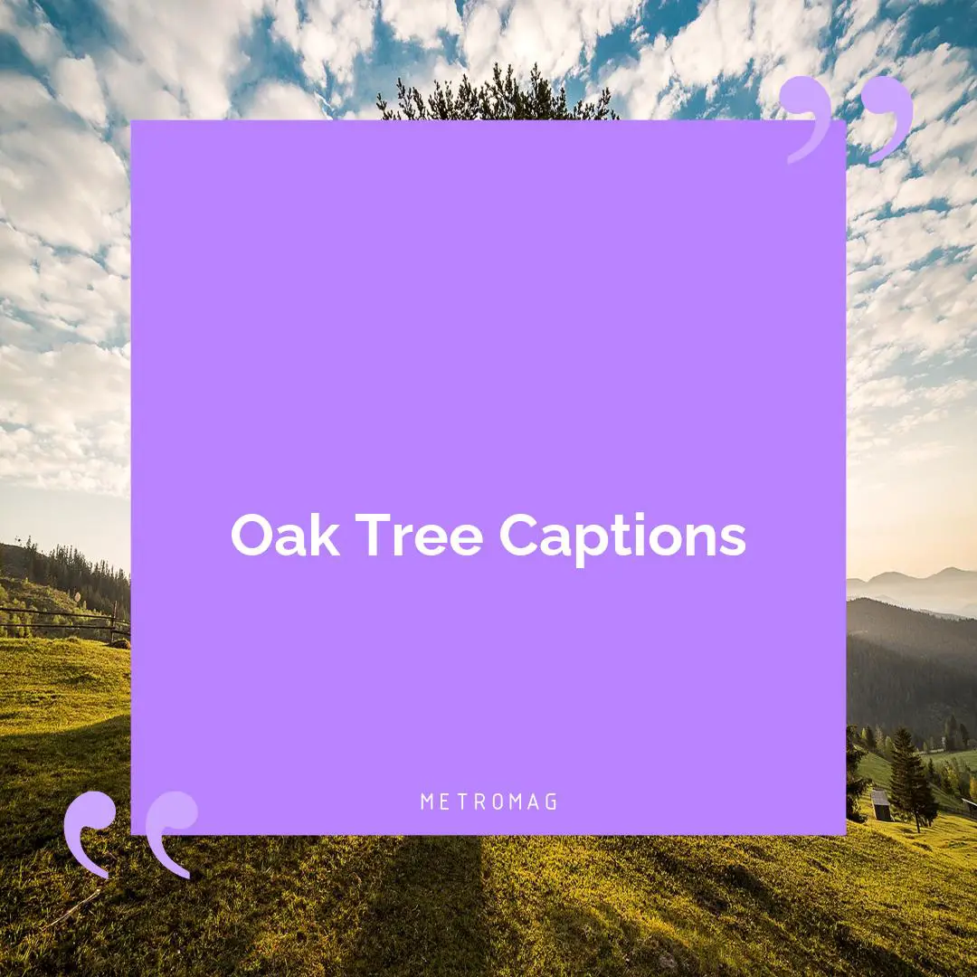 Oak Tree Captions