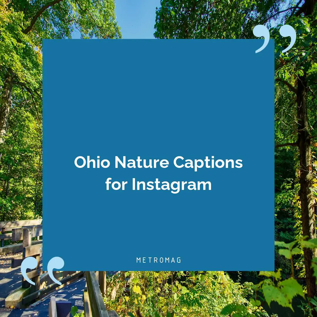 Ohio Nature Captions for Instagram