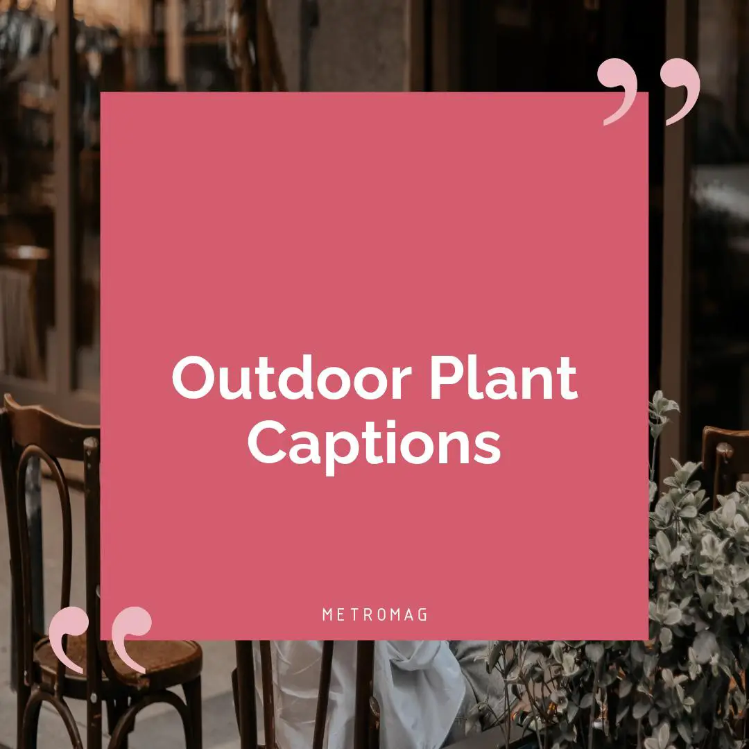 Outdoor Plant Captions
