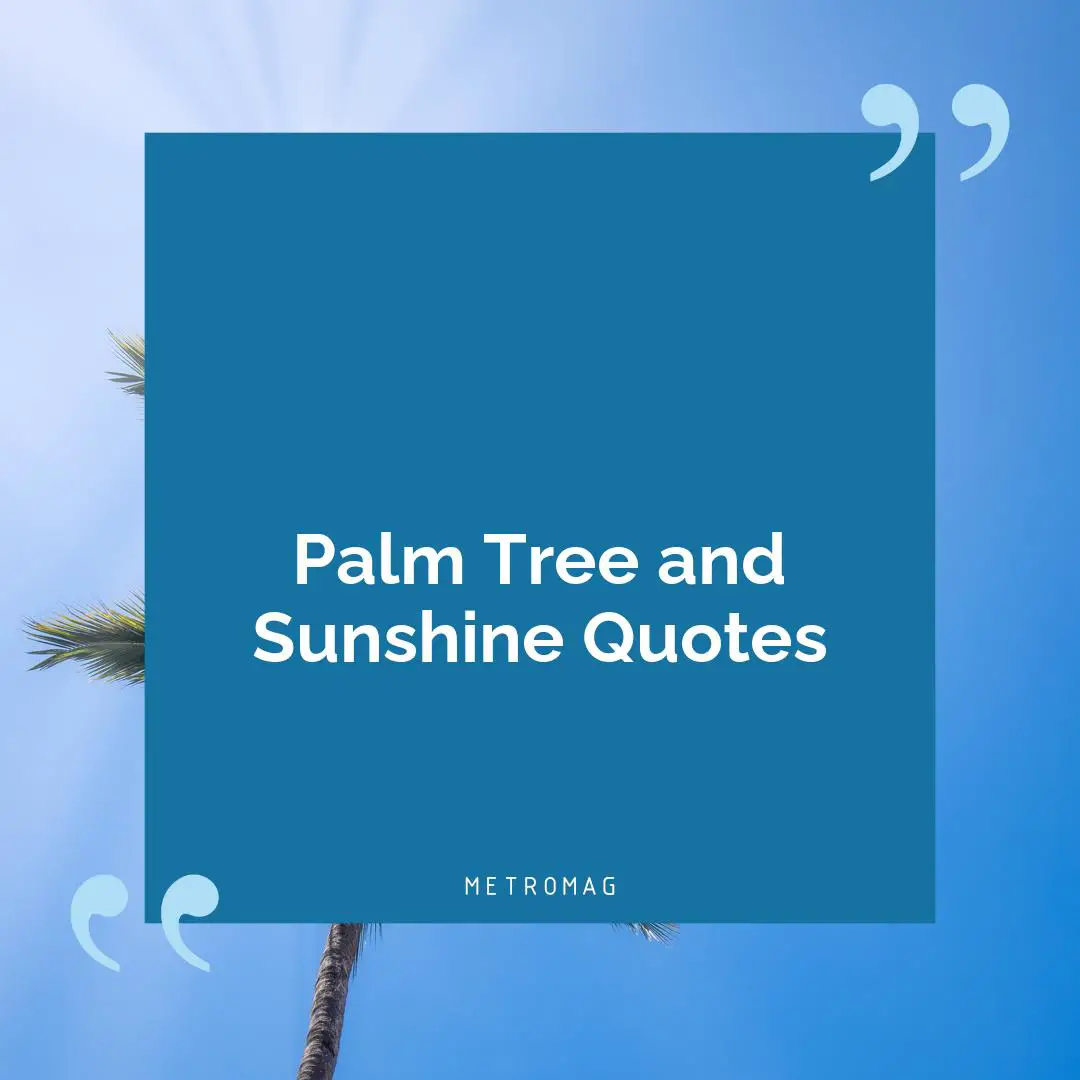 Palm Tree and Sunshine Quotes