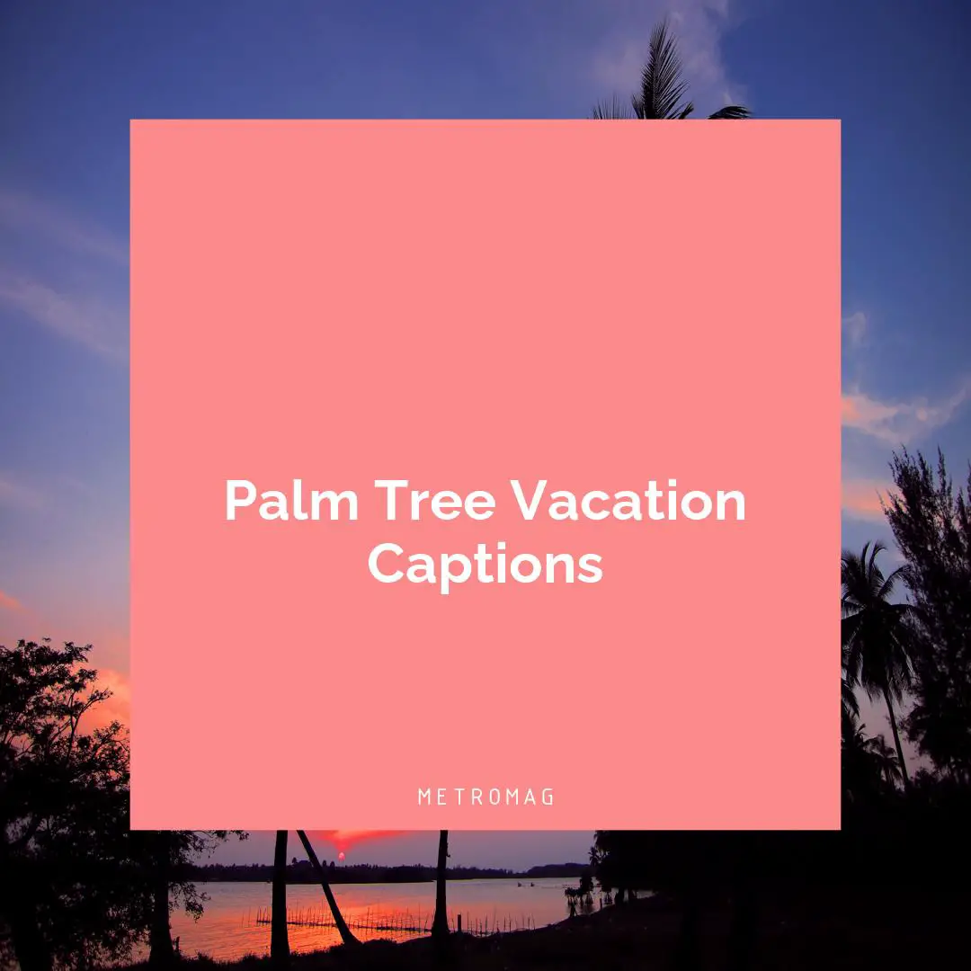 Palm Tree Vacation Captions