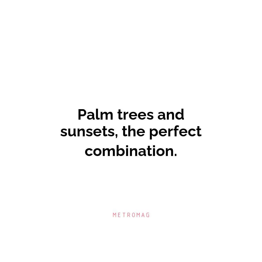 Palm trees and sunsets, the perfect combination.
